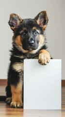 German Shepherd puppy sitting on the floor with a mockup frame, family home background.