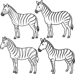 The jungle animal of Zebra outline or line art or sketch illustration, standing side-on with its distinctive striped pattern represented by clean lines on a white background.