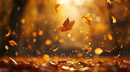 Golden Autumn Leaves Falling in Sunlit Forest with Warm Glowing Light and Bokeh Background