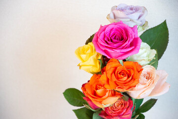 カラフルな薔薇