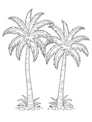 Obraz premium Coconut tree coloring page outline white color and white background ai design 
