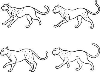 Cheetah outline or line art or sketch illustration package, in mid-sprint, showcasing its slender and fast body, drawn with fluid lines on a white background.
