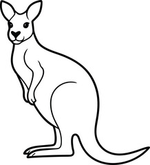 An outline illustration of a kangaroo, standing upright with a pouch visible, drawn with clean lines on a white background.