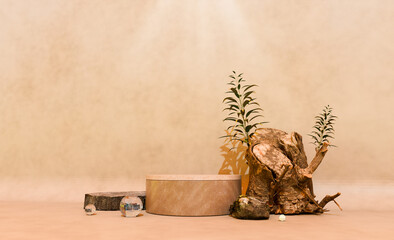 3D product podium cylinder nature and rock background indoor podium wooden texture design element modern advertising bright wooden color background template