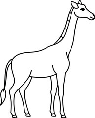 Giraffe outline illustration, showing its long neck and slender legs, drawn with clean, flowing lines on a white background