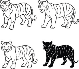 A package of Tiger outline or line art or sketch illustration, prowling forward with an intense gaze, depicted with simple lines on a white background