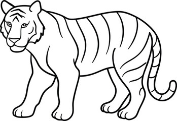 The Tiger outline illustration and silhouette, prowling forward with an intense gaze, depicted with simple lines on a white background