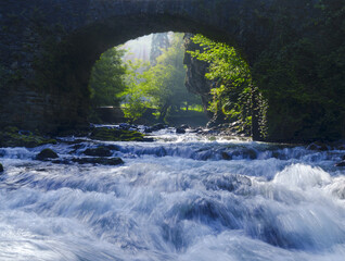 Leizaran River. Leizaran river and bridge of the Witches, Andoain, Basque Country.