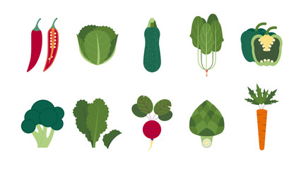 Collection of Natural Organic Vegetables, Healthy Vector Green Food