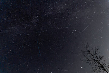 A Perseid meteor shower over rural Suffolk, UK