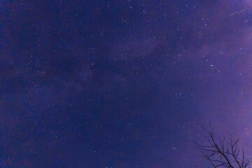 A starry night sky over a rural area of Suffolk, UK