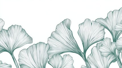Fototapeta premium Ginkgo Biloba Leaves Illustration.