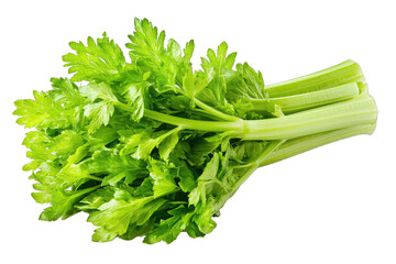 Fresh green celery with vibrant leaves and stalks, perfect for healthy recipes and garnishes.