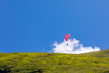 Gleitschirmflieger - Alpen - Allgäu - Sommer