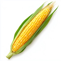Yellow Corn. Isolated on white background