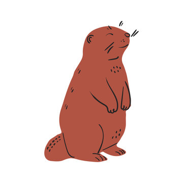 standing cute gopher drawing vector illustration isolated	