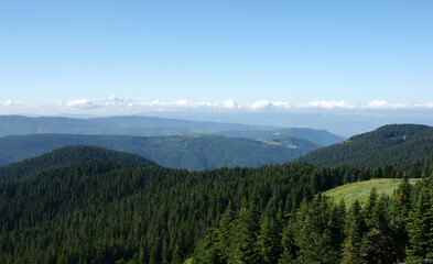 Ilgaz Mountain is in Kastamonu, Turkey.