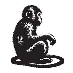 Monkey sitting - silhouette of monkey -vector image of monkey setting  © farhan
