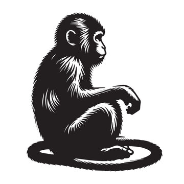 Monkey sitting - silhouette of monkey -vector image of monkey setting 