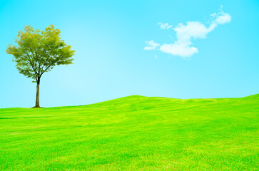 A view of beautiful green field with a tree and fresh grass on a sunny day