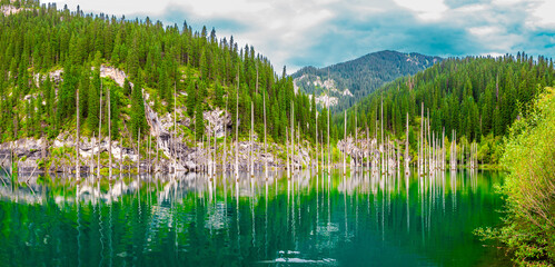 Sunken forest of Lake Kaindy in Kazakhstan. Beautiful mountain natural landscape. A blue lake with...