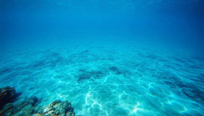 Fototapeta premium ocean sea underwater