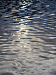 Calm water in evening light. Texture or background