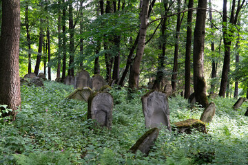 Kirkut w Lesku macewy 