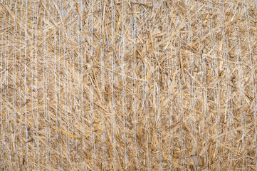 Golden pattern of hay stack at the German countryside in Stuhr, Lower Saxony, Germany