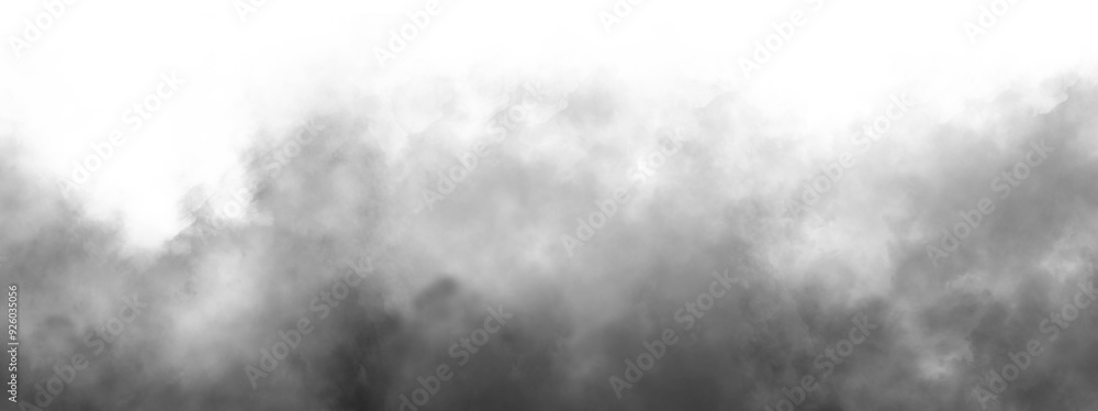 Wall mural gray fog or smoke isolated transparent background. white vector cloudiness, mist or smog background.