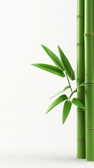 bamboo background