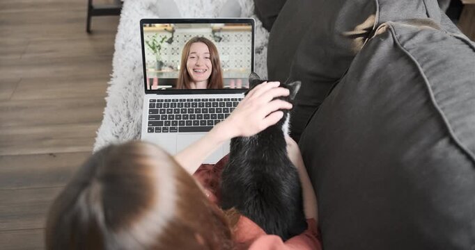 Girl shows heart gesture from laptop screen. Woman sits on sofa with cat in front of webcam. Video call, miss pet.