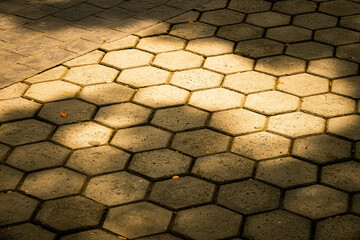 A brick walkway with a shadow cast on it. The shadow is on the ground and is darker than the walkway