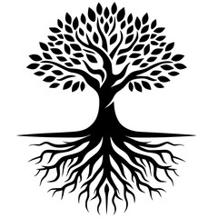 Obraz premium Silhouette of tree and roots