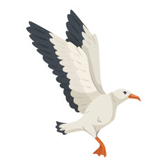 Image of a flying seagull with open wings. The illustration features a simplistic, cartoon-like style. The background is plain white. Concept of marine wildlife. Vector illustration