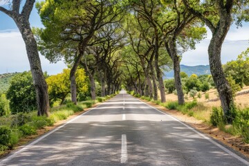 Obraz premium Endless road of travel on rural highways There are natural trees on both sides of the road.