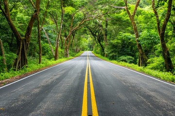 Endless road of travel on rural highways There are natural trees on both sides of the road.