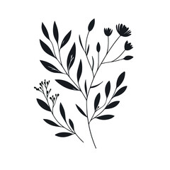 Fototapeta premium Minimal feminine botanical floral branch in silhouette style Hand drawn wedding herb, minimalistic flowers with elegant leaves Botanical rustic trendy greenery 