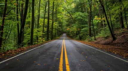 Obraz premium Endless road of travel on rural highways There are natural trees on both sides of the road.