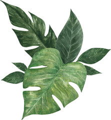 green leaves isolated on Transparent background, Greenery tropical leaves green foliage clipart png 