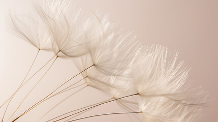 A serene and delicate image capturing the ethereal beauty of a fluffy dandelion seed head, with a soft tone providing a minimalist and elegant background that evokes a sense of calm and gentleness. 

