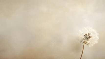 Obraz premium A serene and delicate image capturing the ethereal beauty of a fluffy dandelion seed head, with a soft tone providing a minimalist and elegant background that evokes a sense of calm and gentleness. 