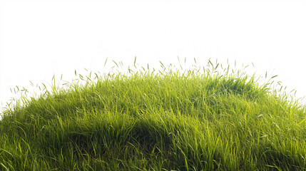 Fototapeta premium Lush Green Grass Hill