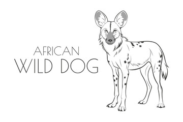 Illustration of a Animal - African Wild Dog, Mammalia