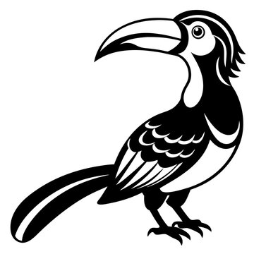 recommend clip art: Hornbill silhouette vector illustration with white background