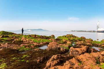A man fishes on the beach