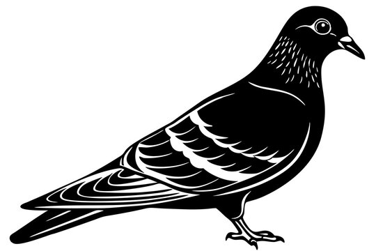 recommend clip art: Pigeon perched black and white silhouette vector illustration on white background