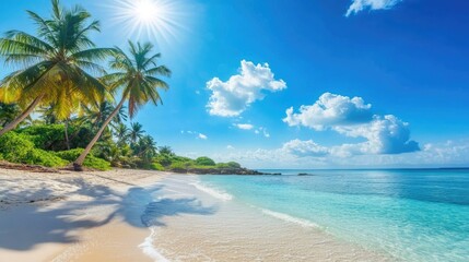 Sun-drenched tropical beach with clear blue water, palm trees, and a bright summer sky overhead