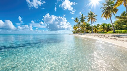 Sun-drenched tropical beach with clear blue water, palm trees, and a bright summer sky overhead