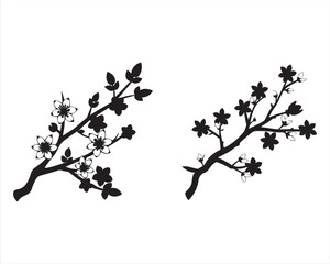 Obraz premium Cherry Blossom Branch Silhouette